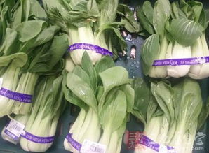 解讀食用農產品入場交易法規制度——以食用農產品批發環節為中心